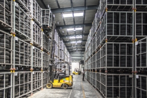 Workers Compensation Insurance Pooler, GA